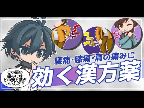 腰痛や膝痛、肩の痛みに効く漢方薬【芍薬甘草湯や麻杏薏甘湯意外にも色々ある漢方薬】