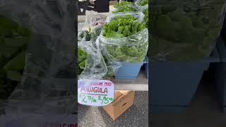 #farmersmarket #vlog #farmersmarketfinds #farmersmarkethaul #food #farmfresh