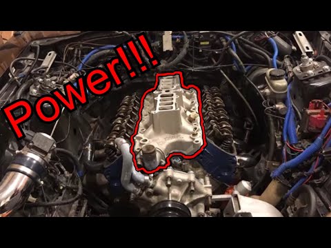 Lower Intake Manifold Install on GT40 Heads