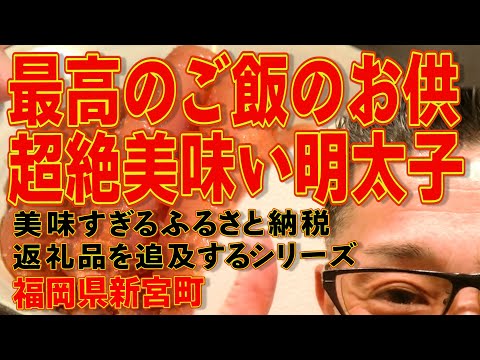 明太子ならコレが最高!!!!ふるさと納税を返礼品を極めるシリーズ