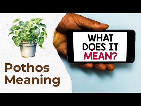 Pothos Meaning and Significance Unveiled