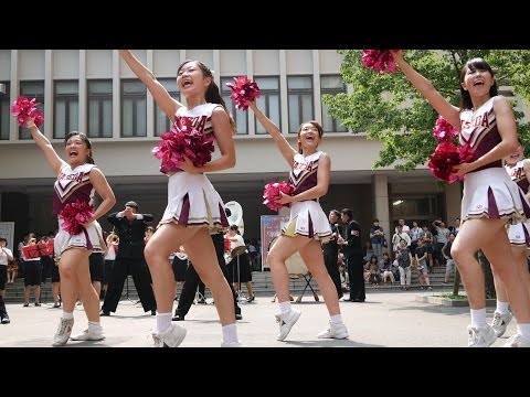 オープンキャンパス2015④ 早稲田必勝応援曲メドレー 早稲田大学応援部チアリーダーズBIG BEARS