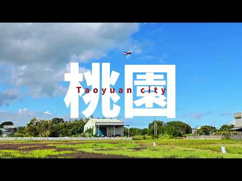 20241007桃園大園彩稻,從土地裡「長」出來的國旗#taiwan #taoyuan#桃園