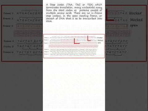 Locating genes in the DNA sequence: Gene prediction #DNA analysis #Genetics