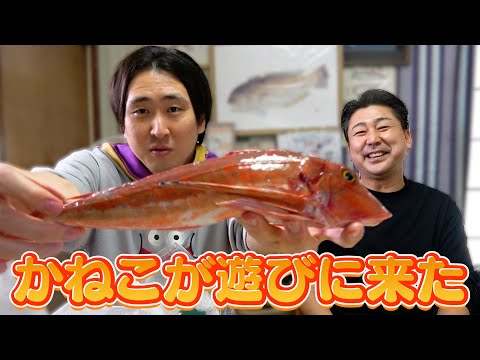 【きまぐれクック】かねこに得意料理？を振る舞うよ！