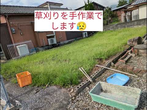 【草刈り】を手作業で😥