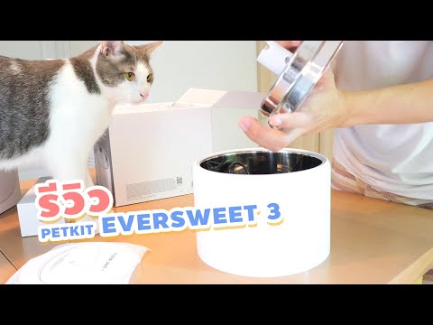 รีวิวเครื่องทำน้ำพุแมว PETKIT EVERSWEET 3