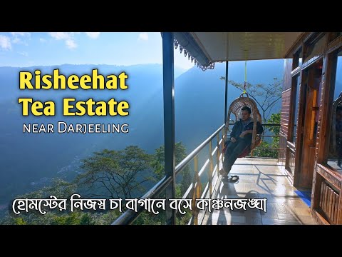 Risheehat Tea Garden ~ Darjeeling ↑ Travel Vlog #187 with Santanu Ganguly