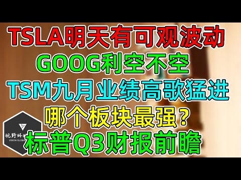 美股 TSLA明天有可观波动！GOOG利空不空，TSM业绩高歌猛进！标普三季度财报，哪个板块最强？