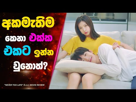 අකමැතිම කෙනා එක්ක එකට ඉන්න වුනොත්? | Ending Explained Sinhala | Sinhala Movie Review