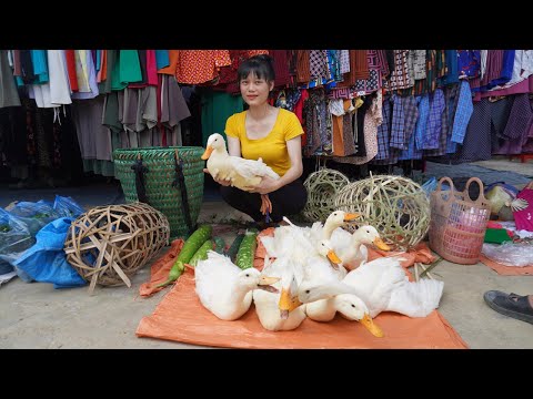 Harvest ducks, lemons, guava, papaya, vegetable goes to the market sell - Anh free bushcraft