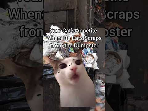 Spoils of hunting are always tastier. Even though sometimes it’s complete shit #Adventure #catmeme