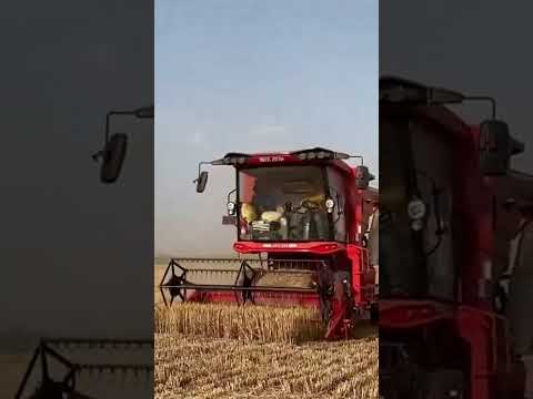 Weichai lovol GM100 harvester