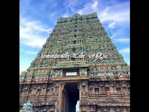 Siva Sivaya Potri Song whatsapp status | Sivan whatsapp status | Tenkasi | Lord Sivan | Sivan songs