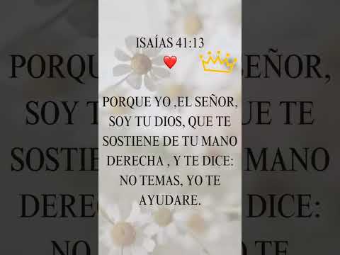 No temas,Dios esta contigo🕊️❤️✨🙏🏻#diosesbueno #diosestaalcontrol #versiculo #biblia #bible 