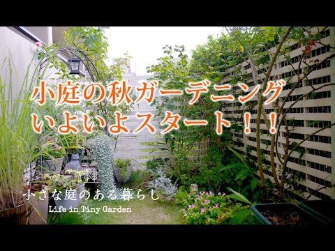 ガーデニング Vlog｜小庭の秋ガーデニングいよいよスタート！！｜ 〜小さな庭のある暮らし 169〜Gardening ｜ Life in a tiny garden