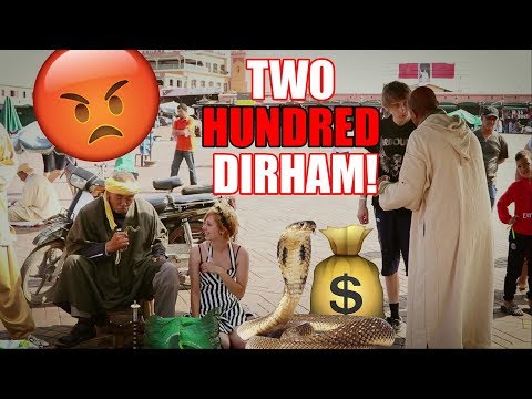 Davster Gets Ripped Off By Snake Charmer *Kicks off* - Four Idiots Episode 2