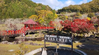 20241124 大分県 中津市 渓石園 紅葉