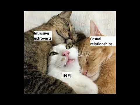 infj memes part3