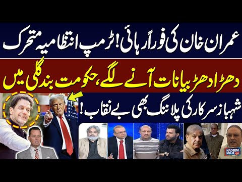 Free Imran Khan | Richard Grenell Another Big Statement | Daniyal Chaudhary Exclusive Interview