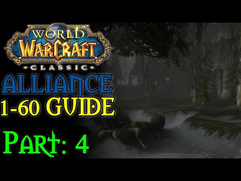 [Classic WoW] Pt. 4: Darkshore 20-22 (Alliance 1-60 Guide)