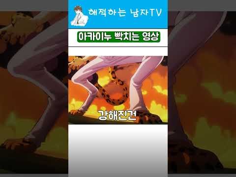 니카에게 털리는 루치 #원피스