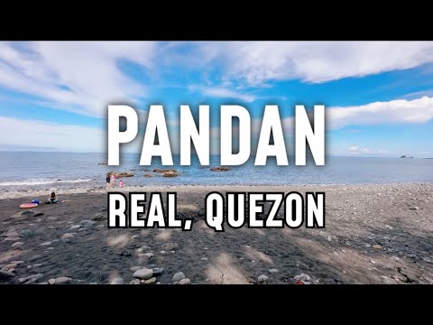 Pandan Real Quezon | Wonders of God |