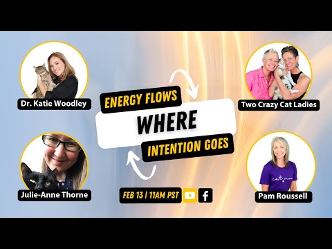 Intention, Energy & CATS | Round Table with Two Crazy Cat Ladies