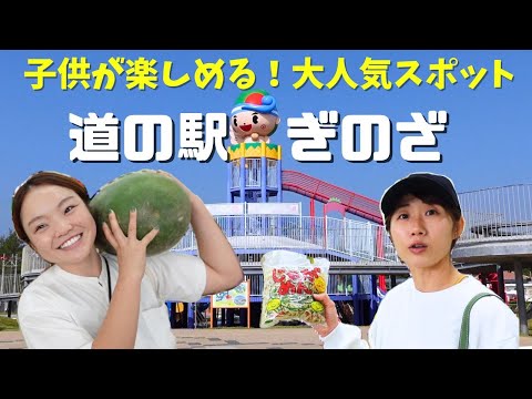 【沖縄観光スポット】子連れにおすすめ！遊びも食も充実＊道の駅ぎのざ＊