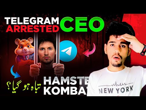 DOGS Listing Cancelled 😱 Telegram CEO Arrested | No Hamster Airdrop