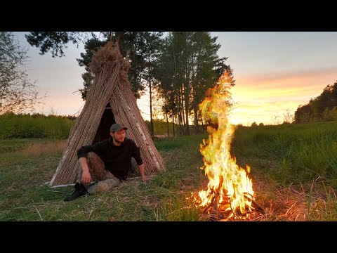 Building a reed survival shelter | Bushcraft & Campfire grilled snails, Catch and cook