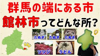 【南東・唯一の市】群馬の端にある、館林市ってどんなとこ？【群馬と栃木の「おとなり劇場」】