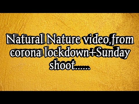 Natural Nature video corona lockdown +Sunday Shoot