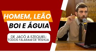 DESCUBRA QUEM SÃO OS SERES VIVENTES DA VISÃO DE EZEQUIEL