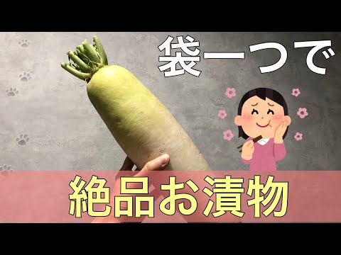 【節約】袋一つで簡単！大根のお漬物