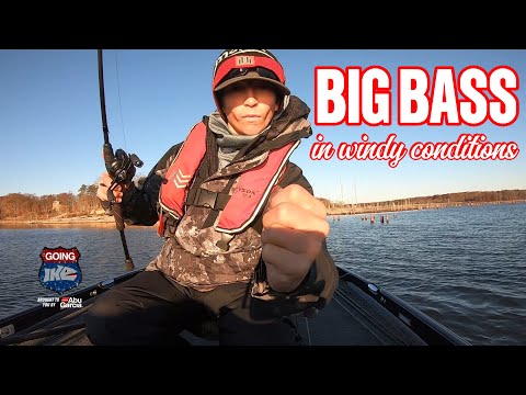 BIG Bass in BIG Winds! TEAM Tournament with my Son!