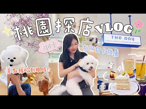 VLOG｜桃園狗狗咖啡廳☕店狗是三隻可愛的比熊!!🐶帶毛小孩出去走走、瘋狂吃蛋糕的一天🍰😋💕