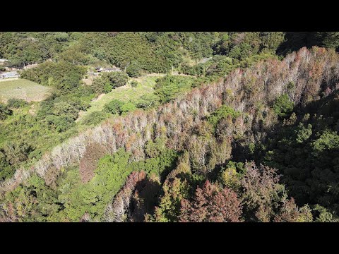 苗栗旅遊空拍 - 大湖 ,獅潭 ,泰安. ( Dec  2022)