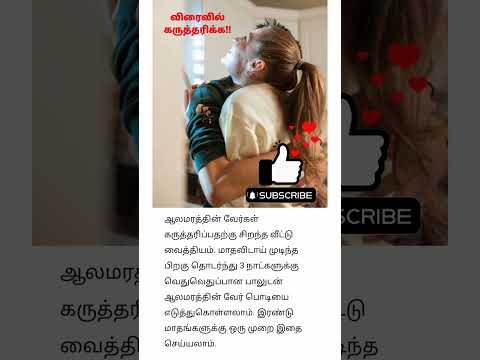 விரைவில் கருத்தரிக்க | Pregnancy Care  #pregnancy #pregnancytips #shorts