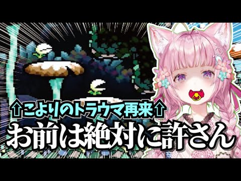 芸術的な死に方を演出してくれたパックンと再会を果たす博衣こより【博衣こより/ホロライブ切り抜き】