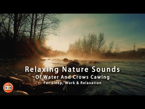 Nature Water & Crows Cawing Sounds For Sleeping, Meditation, Yoga | 流水聲 昏鴉叫 自然白噪音 瑜珈 舒眠 冥想 療癒睡眠音樂