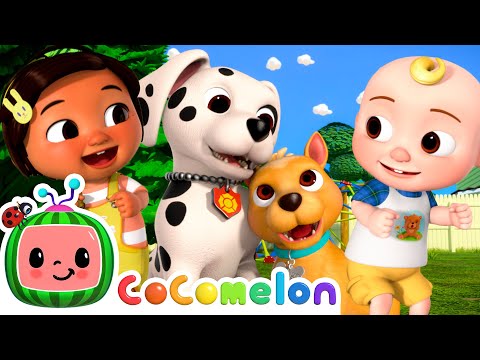 Nina and JJ's Puppy Play Date | CoComelon Kids Songs & Nursery Rhymes