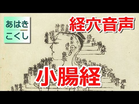 経穴 暗記用音声 手の太陽 小腸経 [あはきこくし]