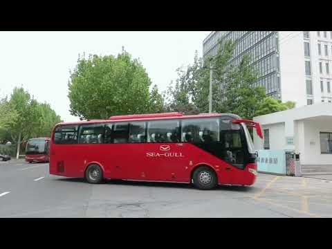 Sea-Gull Staff Bus  海鸥表员工大巴