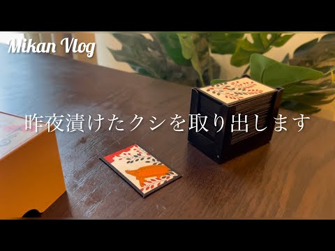 【Vlog】漬け込んだ柘植のくし/自家製ヨーグルト/7月の花札「萩に猪」