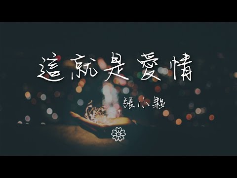 張小夥 - 這就是愛情『只要能把愛抓牢 愛過的人一定知道』【動態歌詞Lyrics】