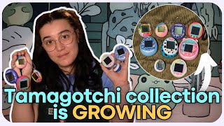 The Tamagotchi Collection has GROWN... - Tamagotchi Collection Update!