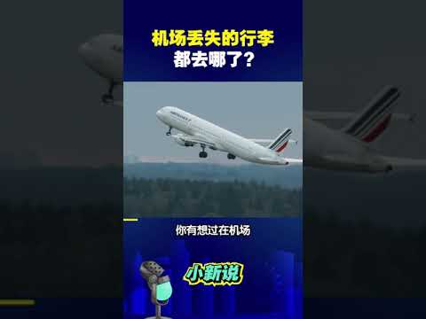 机场丢失的行李都去哪了？#shorts  #机场行李 #行李去哪儿 #丢失的行李