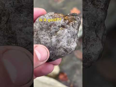 Possible gold ore? Grayish quartz with what looks to be gold? #gold #goldmining #goldpanning #ore