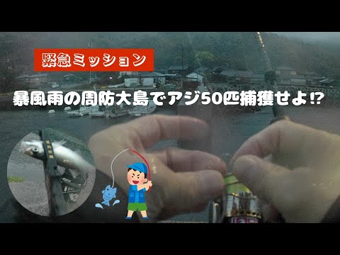 【緊急ミッション】暴風雨の周防大島でアジ50匹捕獲せよ❗